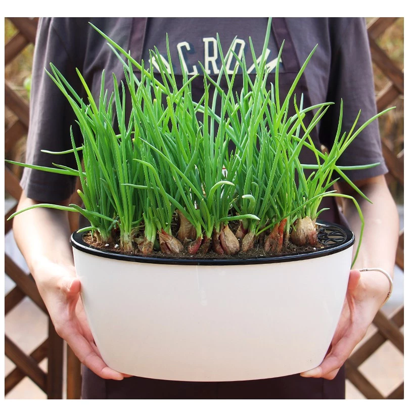 Locaupin Self Watering Planter Flower Pots Multicolor Balcony Garden Plant Planter Baskets Fence Bucket Pots