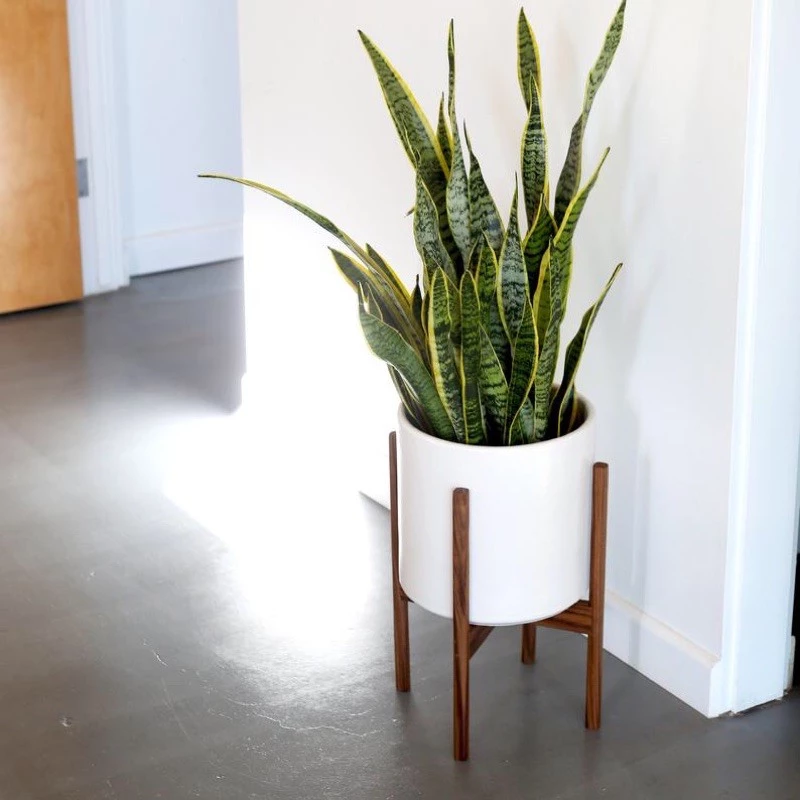 Nanhayu Sapota - Walnut Color Standing Flower Plant Pot Made of Perhutani Dutch Teak Wood