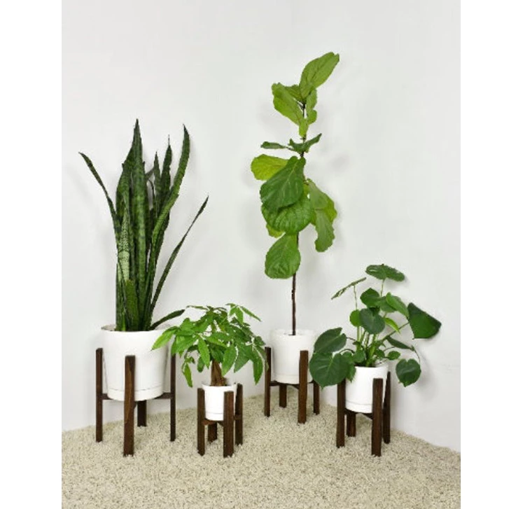 Nanhayu Sapota - Walnut Color Standing Flower Plant Pot Made of Perhutani Dutch Teak Wood