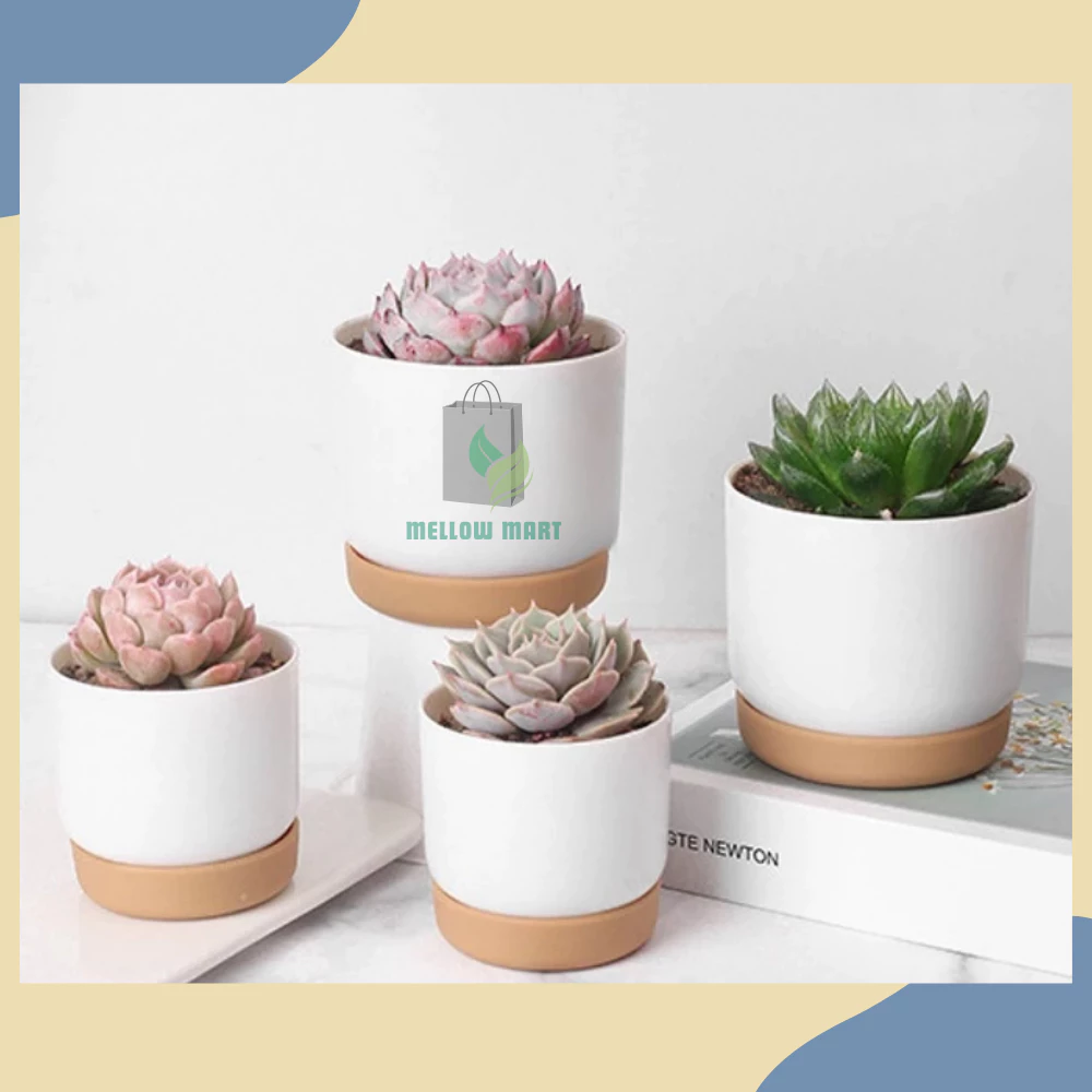 MELLOWMART Nordic Style Self Watering Pot Hydroponic Pot Succulent