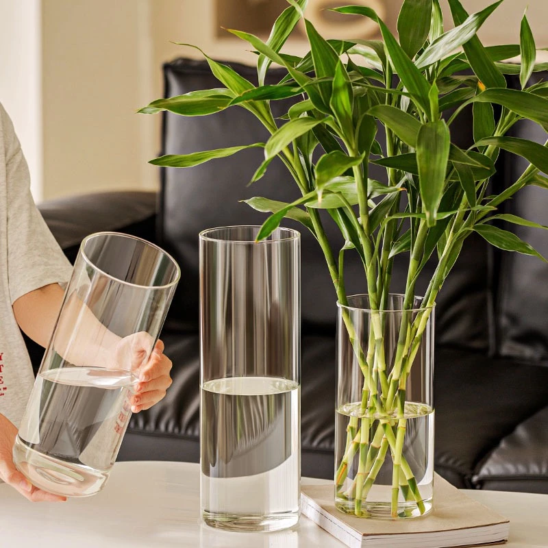 Vas Akrilik Lutsinar Tidak Pecah Clear Acrylic Flower Vase for Home Deco Hydroponic Plants 不易碎花瓶