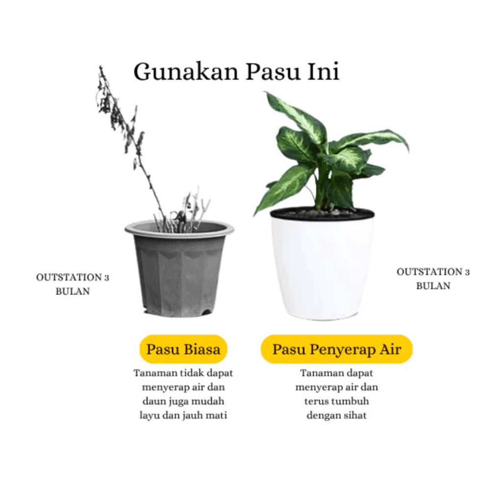 HAPPY LANDSCAPE Lazy Pot Self Watering Pot Hydroponic Pot