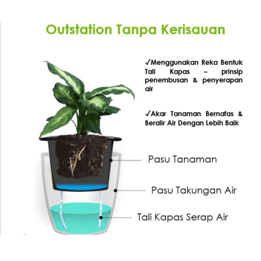 HAPPY LANDSCAPE Lazy Pot Self Watering Pot Hydroponic Pot